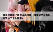 抖音粉丝加了我但没涨粉丝（抖音突然没有粉丝添加了怎么回事）