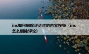 ins如何删除评论过的内容视频（ins 怎么删除评论）