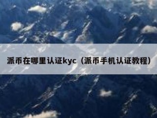 派币在哪里认证kyc（派币手机认证教程）