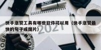 快手涨赞工具有哪些软件可以用（快手涨赞最快的句子或图片）