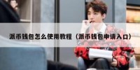 派币钱包怎么使用教程（派币钱包申请入口）