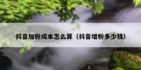 抖音加粉成本怎么算（抖音增粉多少钱）