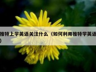 推特上学英语关注什么（如何利用推特学英语）