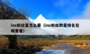 ins粉丝量怎么看（ins粉丝数量排名在哪里看）
