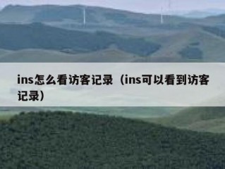 ins怎么看访客记录（ins可以看到访客记录）