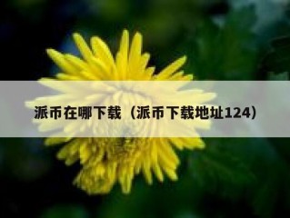 派币在哪下载（派币下载地址124）