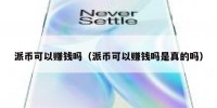 派币可以赚钱吗（派币可以赚钱吗是真的吗）