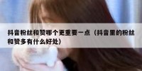 抖音粉丝和赞哪个更重要一点（抖音里的粉丝和赞多有什么好处）
