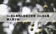 ins怎么看别人给自己的赞（ins怎么看别人赞了我）