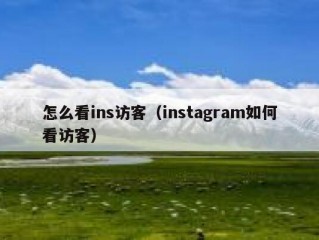 怎么看ins访客（instagram如何看访客）