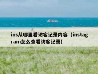 ins从哪里看访客记录内容（instagram怎么查看访客记录）