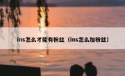 ins怎么才能有粉丝（ins怎么加粉丝）