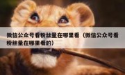 微信公众号看粉丝量在哪里看（微信公众号看粉丝量在哪里看的）