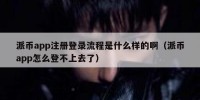 派币app注册登录流程是什么样的啊（派币app怎么登不上去了）