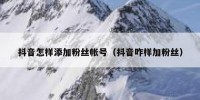 抖音怎样添加粉丝帐号（抖音咋样加粉丝）
