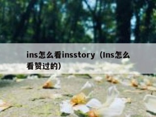 ins怎么看insstory（Ins怎么看赞过的）