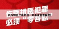 派币如何注册微信（派币注册流程图）