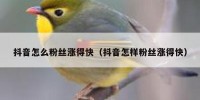 抖音怎么粉丝涨得快（抖音怎样粉丝涨得快）