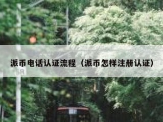 派币电话认证流程（派币怎样注册认证）