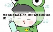 快手涨粉怎么涨不上去（为什么快手涨粉这么慢）