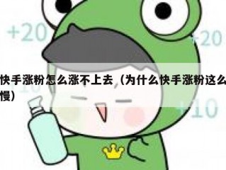 快手涨粉怎么涨不上去（为什么快手涨粉这么慢）