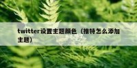 twitter设置主题颜色（推特怎么添加主题）