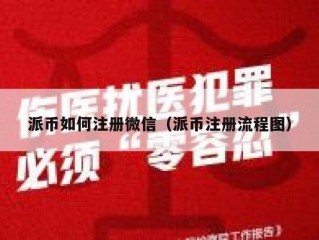 派币如何注册微信（派币注册流程图）