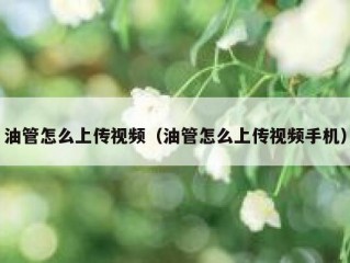 油管怎么上传视频（油管怎么上传视频手机）