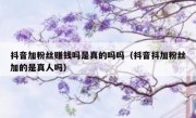 抖音加粉丝赚钱吗是真的吗吗（抖音抖加粉丝加的是真人吗）