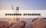 派币钱包视频教程（派币钱包重置教程）