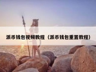 派币钱包视频教程（派币钱包重置教程）