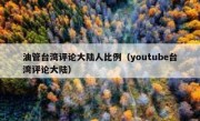 油管台湾评论大陆人比例（youtube台湾评论大陆）