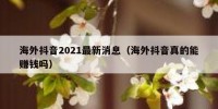 海外抖音2021最新消息（海外抖音真的能赚钱吗）