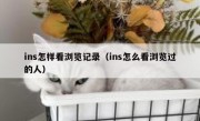 ins怎样看浏览记录（ins怎么看浏览过的人）