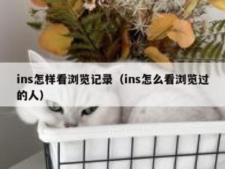 ins怎样看浏览记录（ins怎么看浏览过的人）