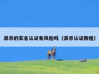 派币的实名认证有风险吗（派币认证教程）