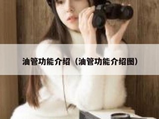 油管功能介绍（油管功能介绍图）