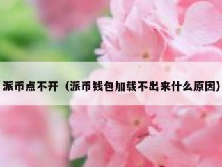 派币点不开（派币钱包加载不出来什么原因）