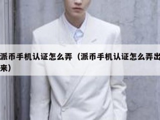 派币手机认证怎么弄（派币手机认证怎么弄出来）