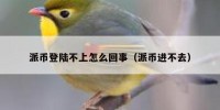 派币登陆不上怎么回事（派币进不去）
