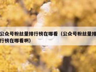 公众号粉丝量排行榜在哪看（公众号粉丝量排行榜在哪看啊）