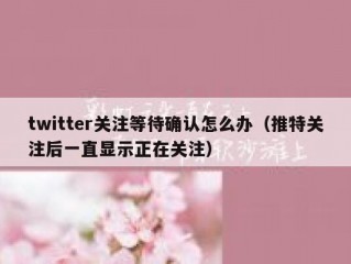 twitter关注等待确认怎么办（推特关注后一直显示正在关注）