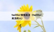 twitter悄悄关注（twitter 关注的人）