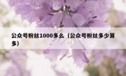 公众号粉丝1000多么（公众号粉丝多少算多）