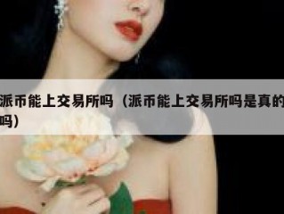 派币能上交易所吗（派币能上交易所吗是真的吗）