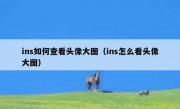 ins如何查看头像大图（ins怎么看头像大图）