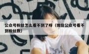 公众号粉丝怎么看不到了呀（微信公众号看不到粉丝数）