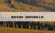 视频号增粉（视频号增粉工具）