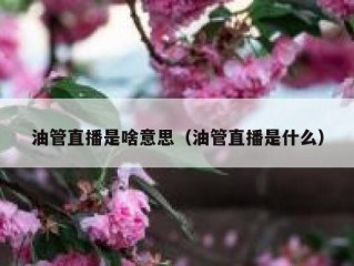 油管直播是啥意思（油管直播是什么）