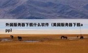 外国服务器下载什么软件（美国服务器下载app）